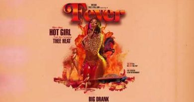 Megan Thee Stallion - Bestie