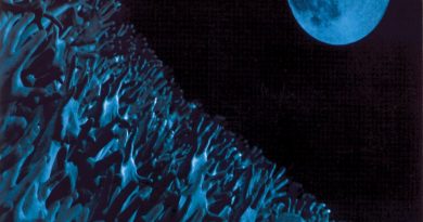 Muse - Hysteria