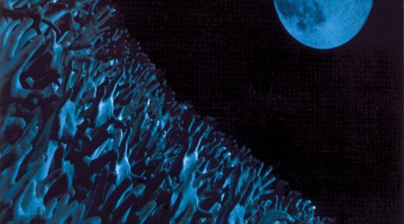 Muse - Hysteria