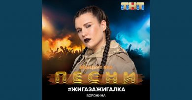БОРОНИНА - #жигазажигалка