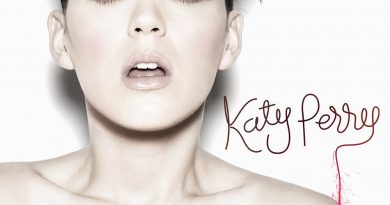 Katy Perry - Firework