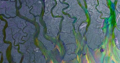 alt-J - Ms