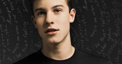 Shawn Mendes - Stitches 