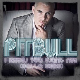 Pitbull - I Know You Want Me