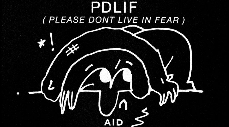 Bon Iver - PDLIF