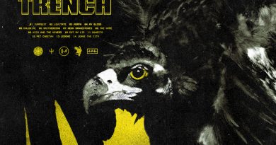 twenty one pilots - Morph