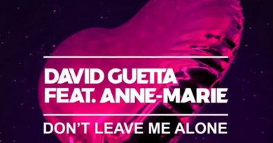David Guetta feat Anne-Marie - Don't Leave Me Alone