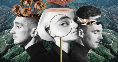 Clean Bandit – Rockabye feat. Sean Paul & Anne Marie