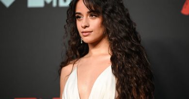 Camila Cabello - Something's Gotta Give