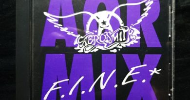 Aerosmith - F.I.N.E.