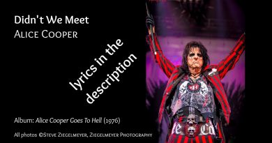Alice Cooper - Didn't We Meet