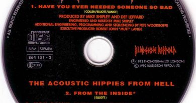 Def Leppard - Have You Ever Needed Someone So Bad
