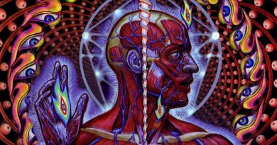 Tool - Lateralus