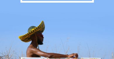 Rudimental, Protoje, Shungudzo, Hak Baker - Toast to our Differences
