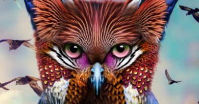 Galantis, ROZES - Girls on Boys