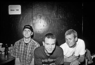Blink-182 - Roller Coaster