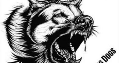 Blink-182 - Dogs Eating Dogs