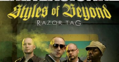 Styles of Beyond - Kill'em in the Face