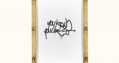 Dj Snake, AlunaGeorge - You Know You Like It