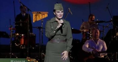 Елена Ваенга - Журавли