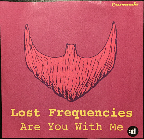 Lost Frequencies - Are You with Me