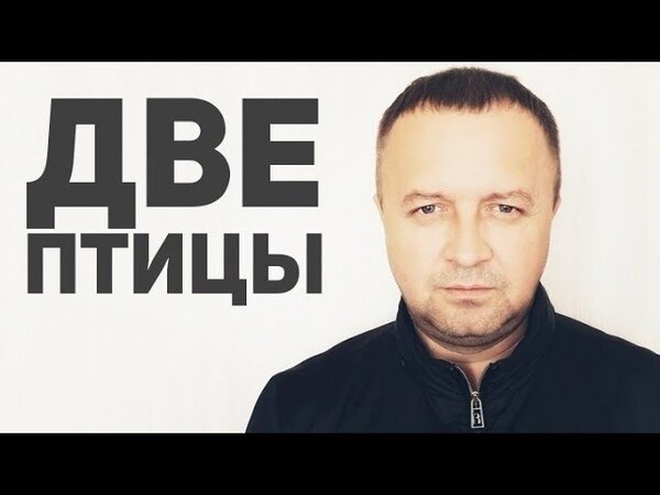 Александр Вестов - Две птицы
