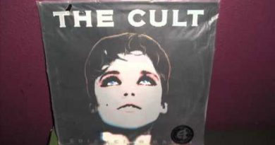 The Cult - Medicine Train