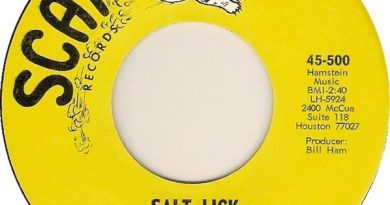 ZZ Top - Salt Lick