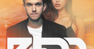 Zedd, Foxes - Clarity