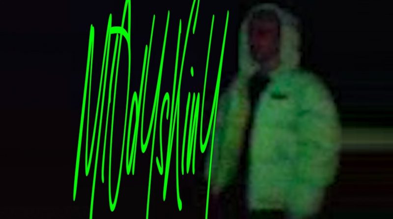Mlodyskiny - 4D
