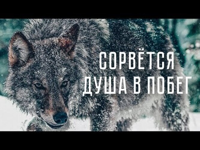 Александр Вестов - Сорвется душа в побег