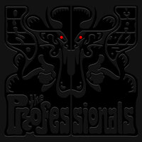 The Professionals - My House