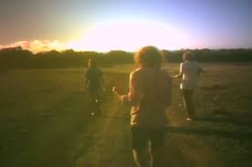 Pond - You Broke My Cool