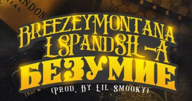 Breezey Montana, ЛСП, Sil-a - Безумие