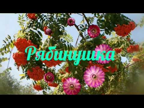 Фристайл - Рябинушка
