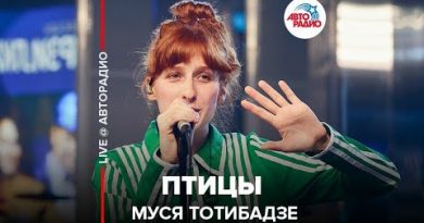 муся тотибадзе, птицы, муся тотибадзе птицы