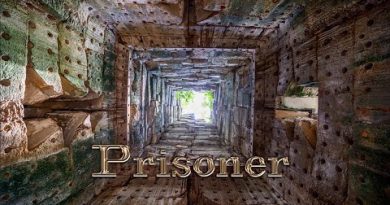 Raphael Lake, Daniel Ryan Murphy, Aaron Levy - Prisoner