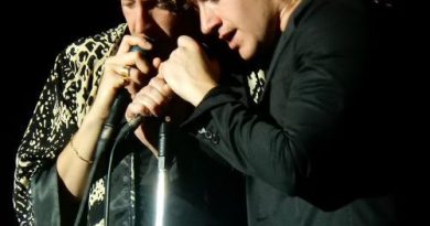 The Last Shadow Puppets - The Chamber