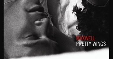 Maxwell - Pretty Wings