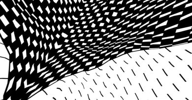 Beach House - Woo