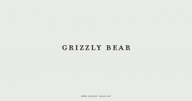 Grizzly Bear - Sleeping Ute