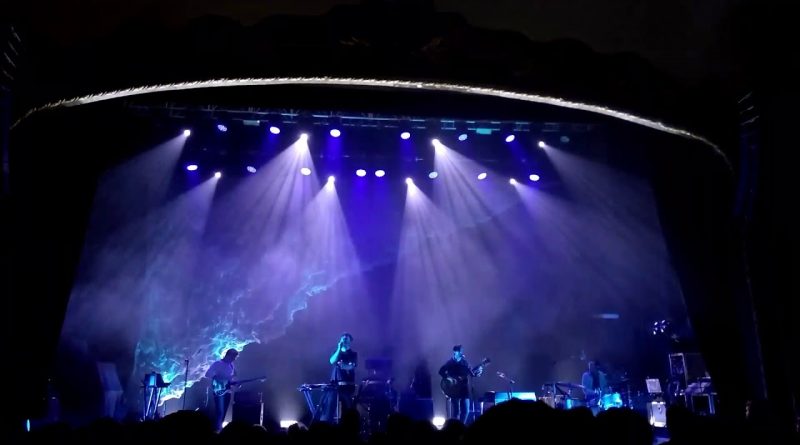Grizzly Bear - Glass Hillside