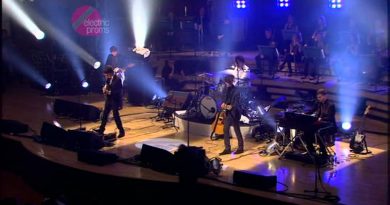 The Last Shadow Puppets - Hang The Cyst
