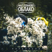 Магелланово облако - Параллели