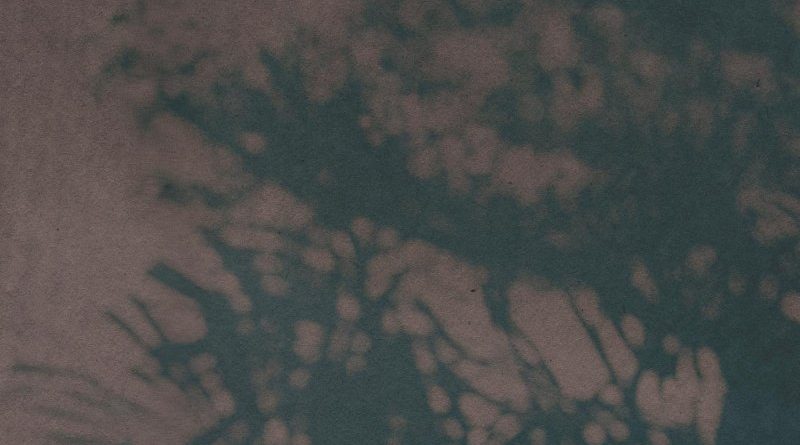 Amy Stroup - In the shadows