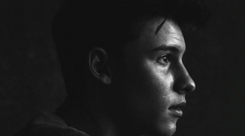 Shawn Mendes - Mercy