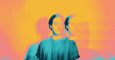 Shallou - Lethologica