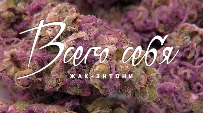 Жак Энтони - Всего себя
