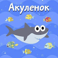 Коте ТВ - Акулёнок