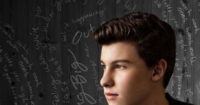 Shawn Mendes - Something Big
